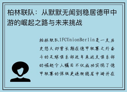 柏林联队：从默默无闻到稳居德甲中游的崛起之路与未来挑战