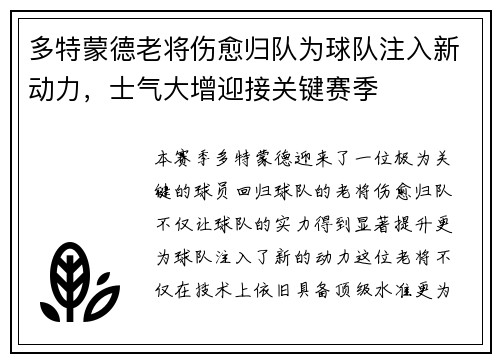 多特蒙德老将伤愈归队为球队注入新动力，士气大增迎接关键赛季