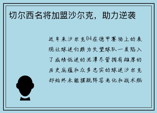 切尔西名将加盟沙尔克，助力逆袭