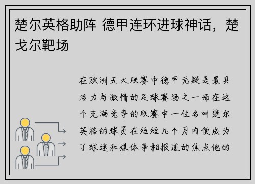 楚尔英格助阵 德甲连环进球神话，楚戈尔靶场