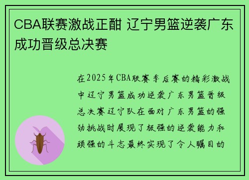 CBA联赛激战正酣 辽宁男篮逆袭广东成功晋级总决赛